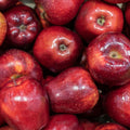  Pommier Red Chief